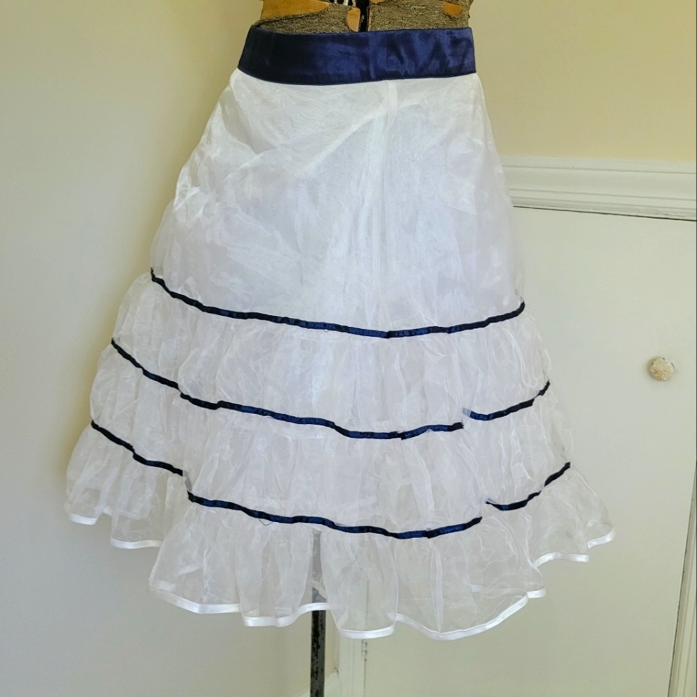High Waisted Petticoat